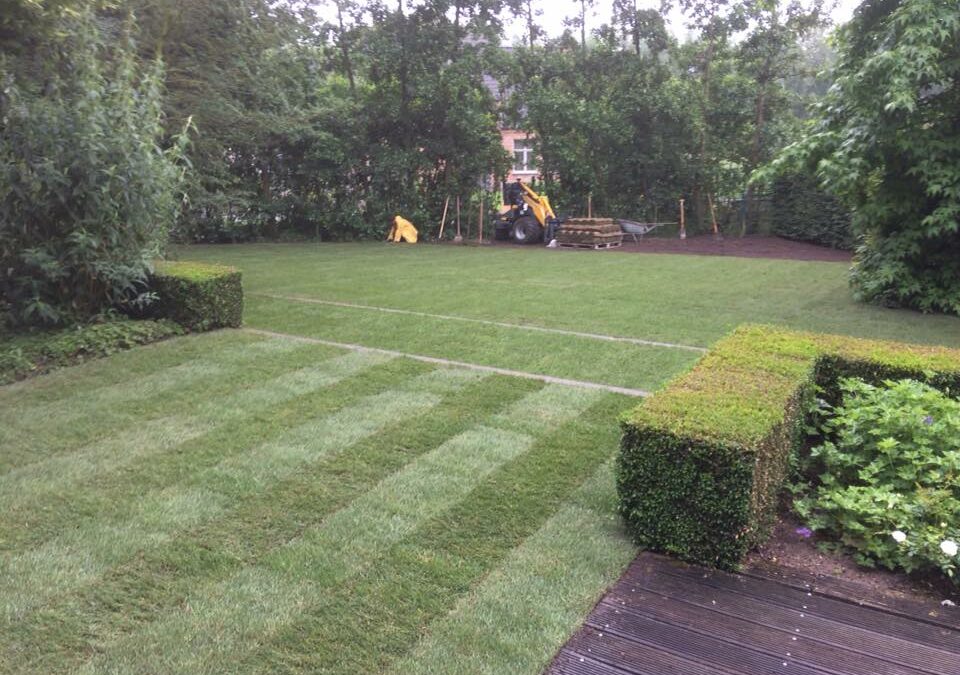 Verwijderen van oude graszode + plaatsen van grasmatten.