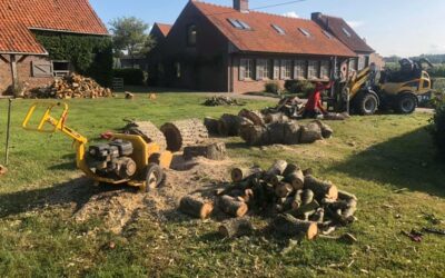 Uitfrezen van boomwortel en klieven van hout.