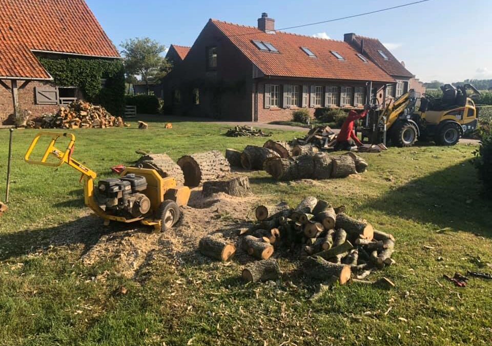 Uitfrezen van boomwortel en klieven van hout.