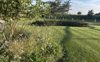 Aanleg landelijke tuin met gazon en bloeiende borders.